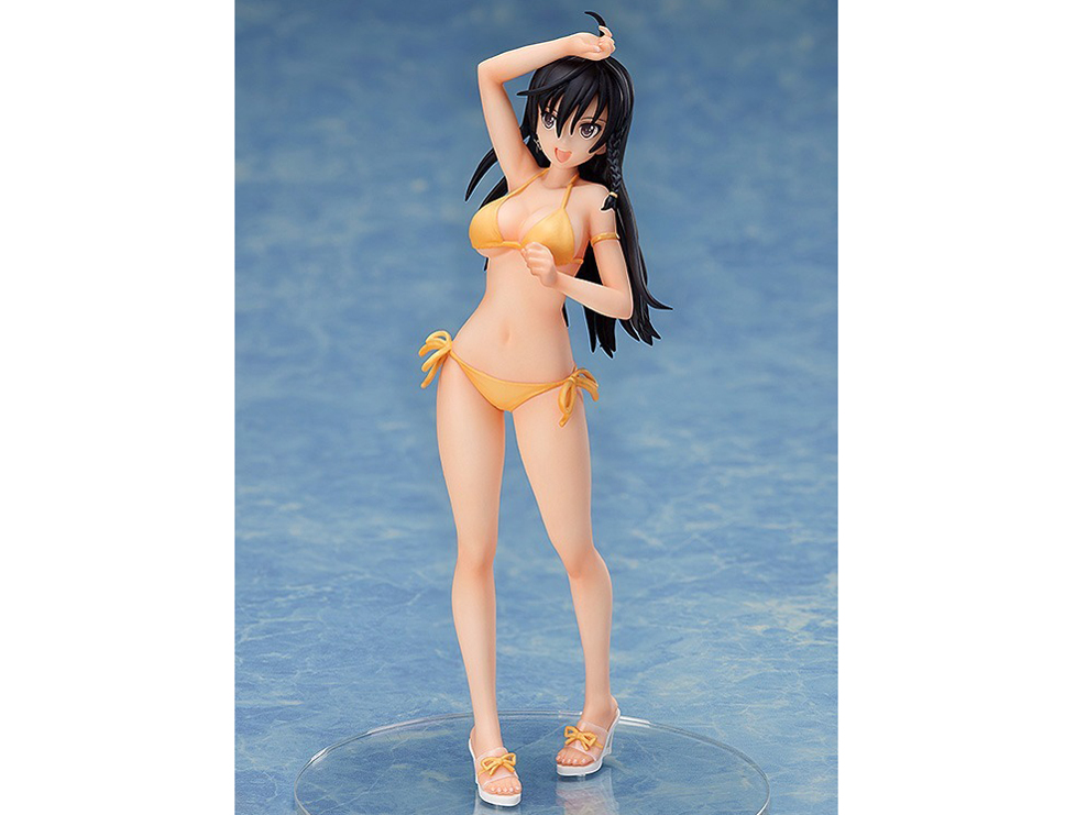 �V���C�j���O�E�r�[�`�q���C���Y 1/12 �\�j�A-����Ver.-