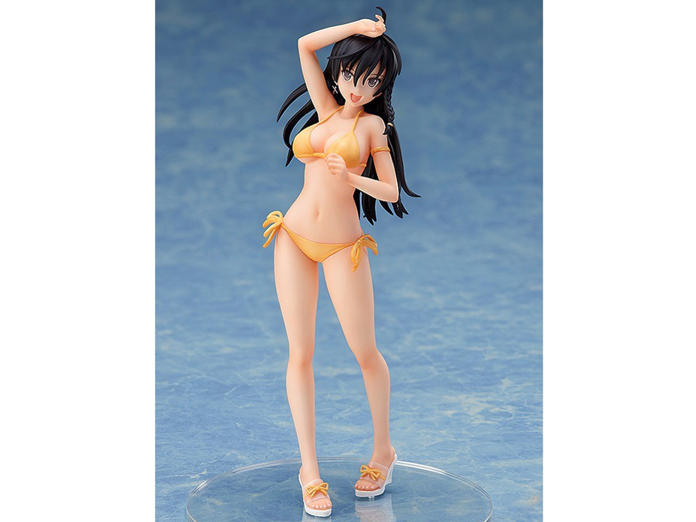 �V���C�j���O�E�r�[�`�q���C���Y 1/12 �\�j�A-����Ver.- �̐��i�摜