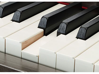 Clavinova CSP-170PE [�����ʉ��o��]