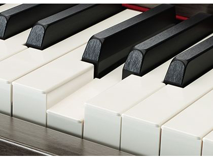 Clavinova CSP-150B [�u���b�N�E�b�h��]