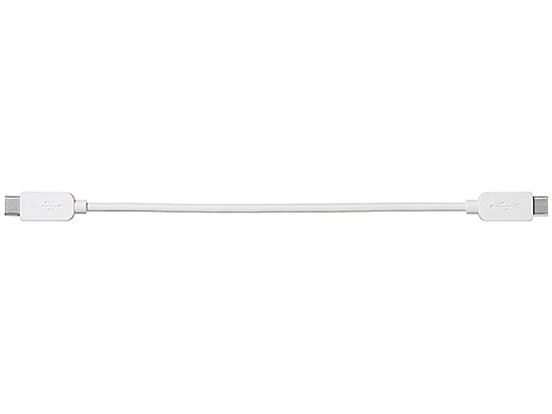 CP-VC10 (W) [�z���C�g]