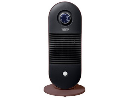 DSF-N12(T) [�u���E��] �̐��i�摜