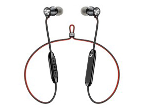 MOMENTUM Free �̐��i�摜