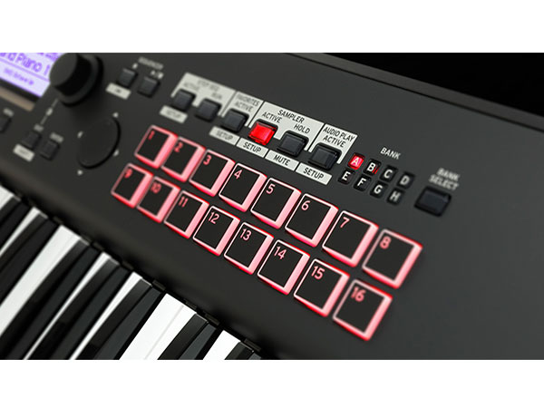 KROSS 2-61-MB [�X�[�p�[�E�}�b�g�E�u���b�N]