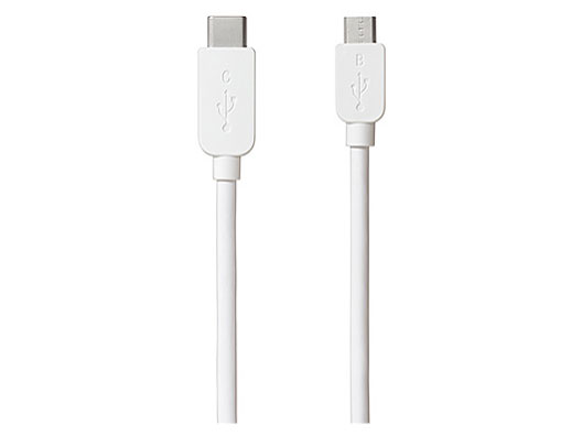 CP-CB100W [1m] �̐��i�摜