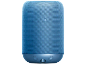 LF-S50G (L) [�u���[]