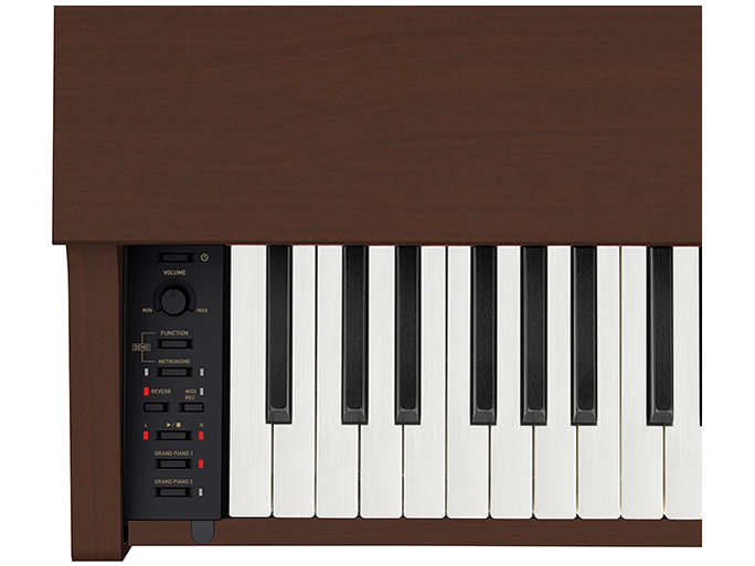 CELVIANO AP-270BN [�I�[�N�E�b�h��]