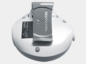 Voice Caddie VC170