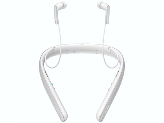 SMR-10 (W) [�z���C�g]