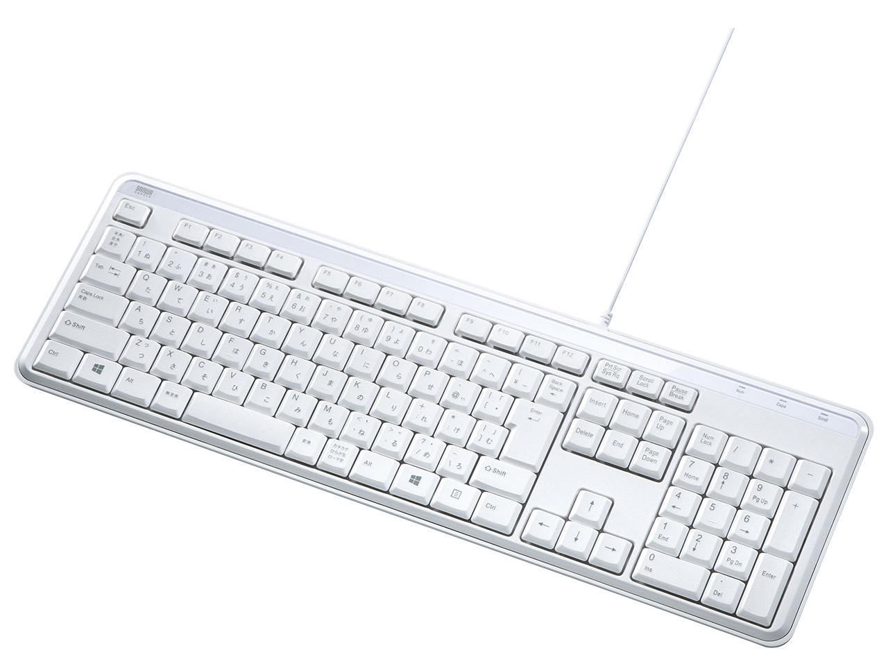 SKB-SL29W [�z���C�g]