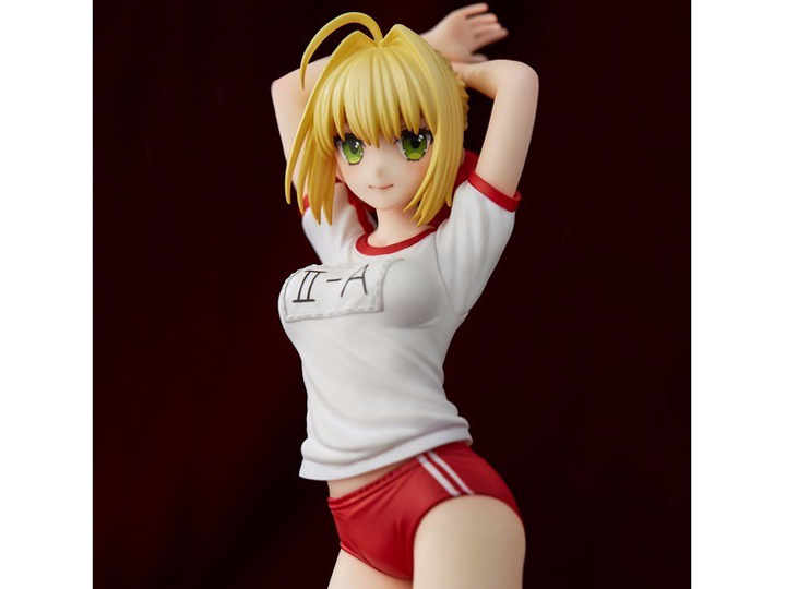 Fate/EXTELLA �l���E�N���E�f�B�E�X �}���`�v���E�F�Aver.