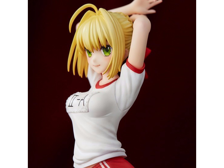 Fate/EXTELLA �l���E�N���E�f�B�E�X �}���`�v���E�F�Aver.