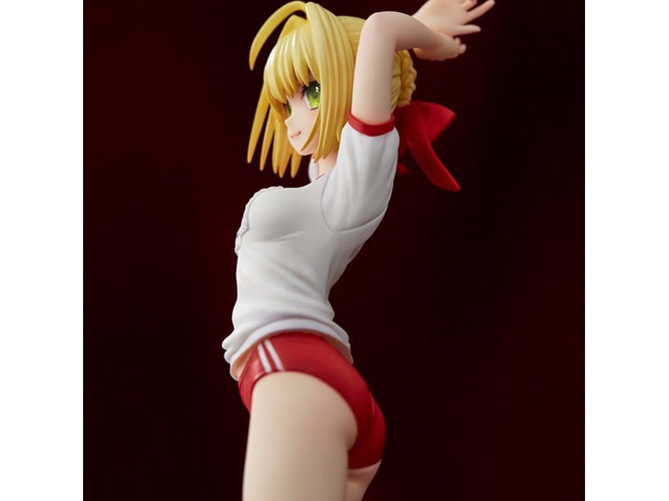 Fate/EXTELLA �l���E�N���E�f�B�E�X �}���`�v���E�F�Aver.