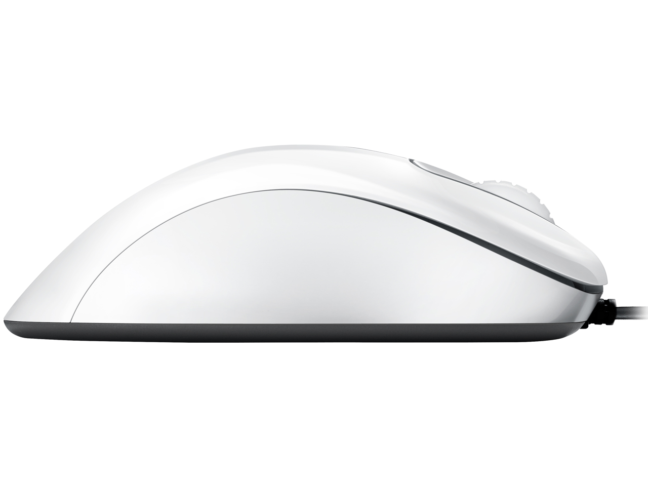 ZOWIE EC1-A [�z���C�g]