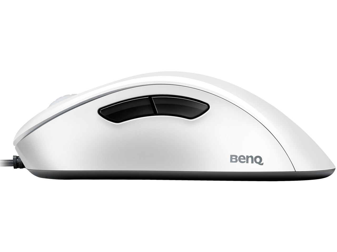 ZOWIE EC1-A [�z���C�g]