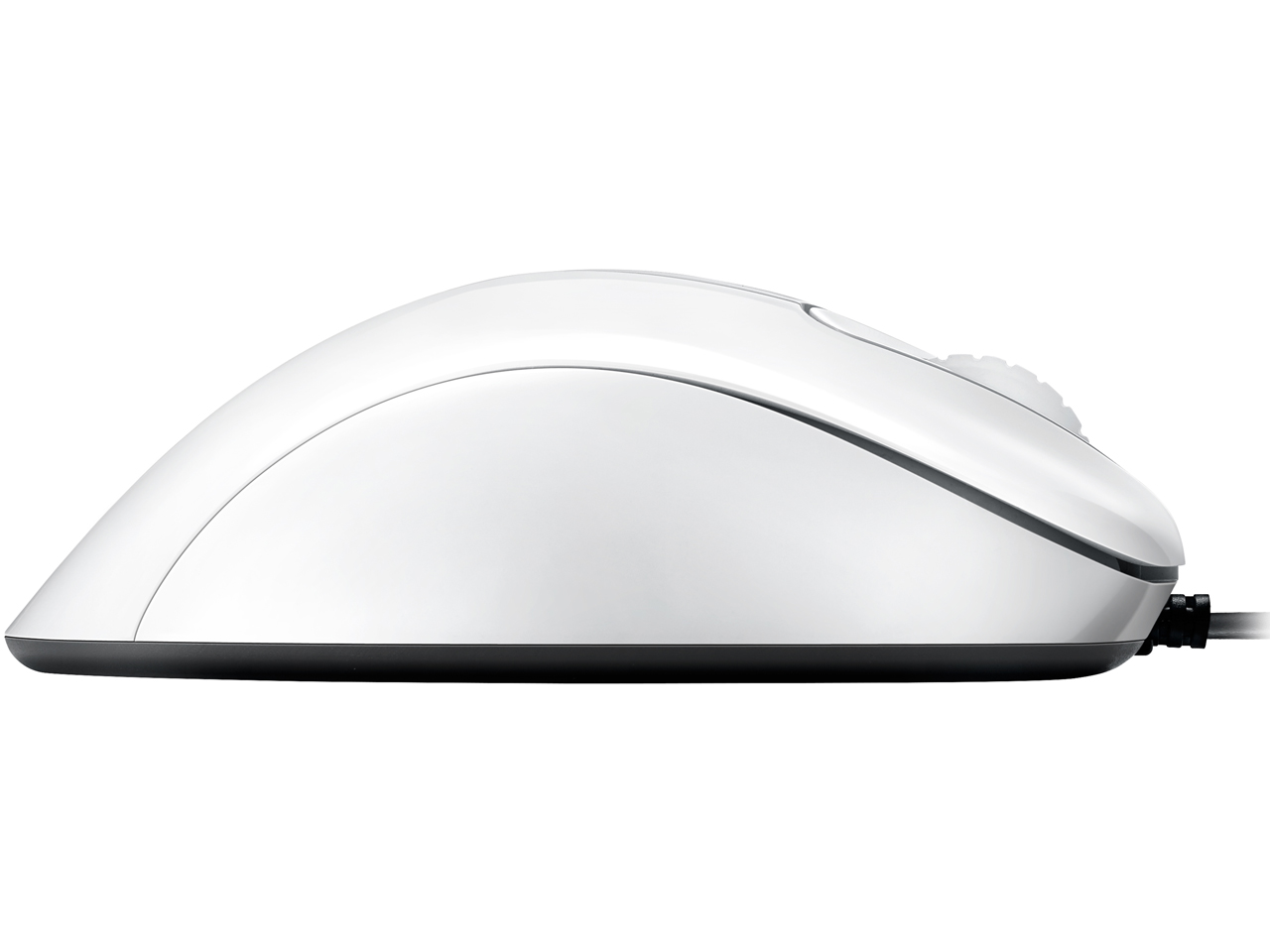 ZOWIE EC2-A [�z���C�g]