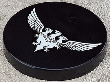 �˂�ǂ낢�� �J�{�L�l