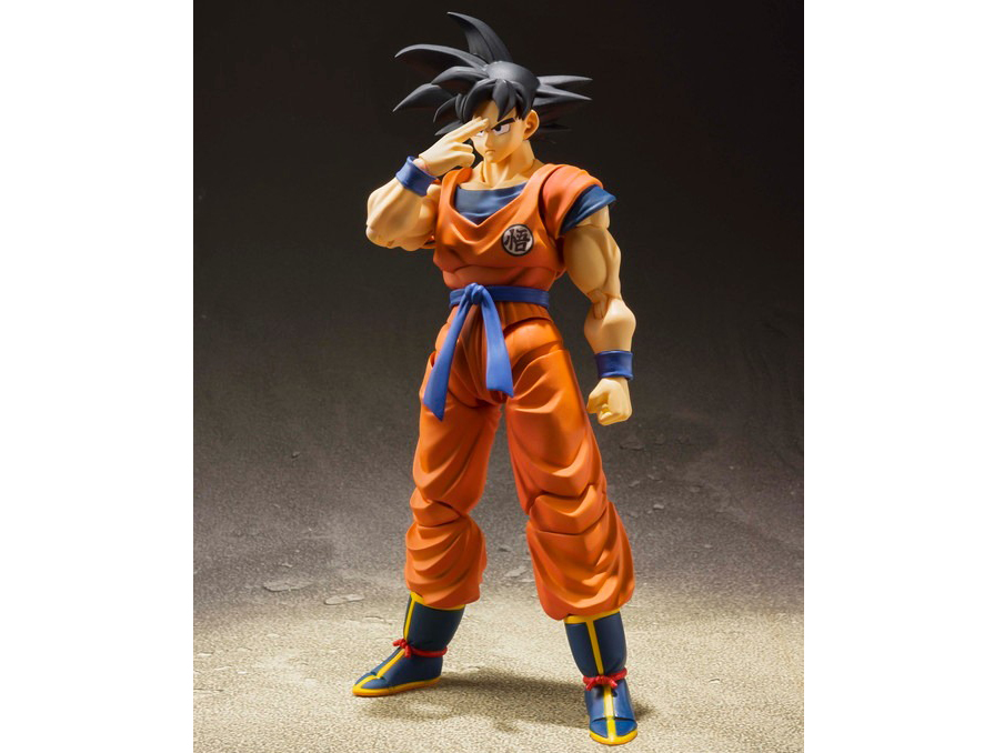 S.H.�t�B�M���A�[�c ����� -�n���炿�̃T�C���l-