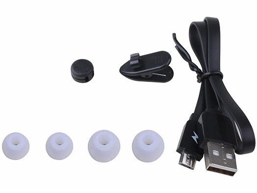 BT807PRBL [�p�X�e��]