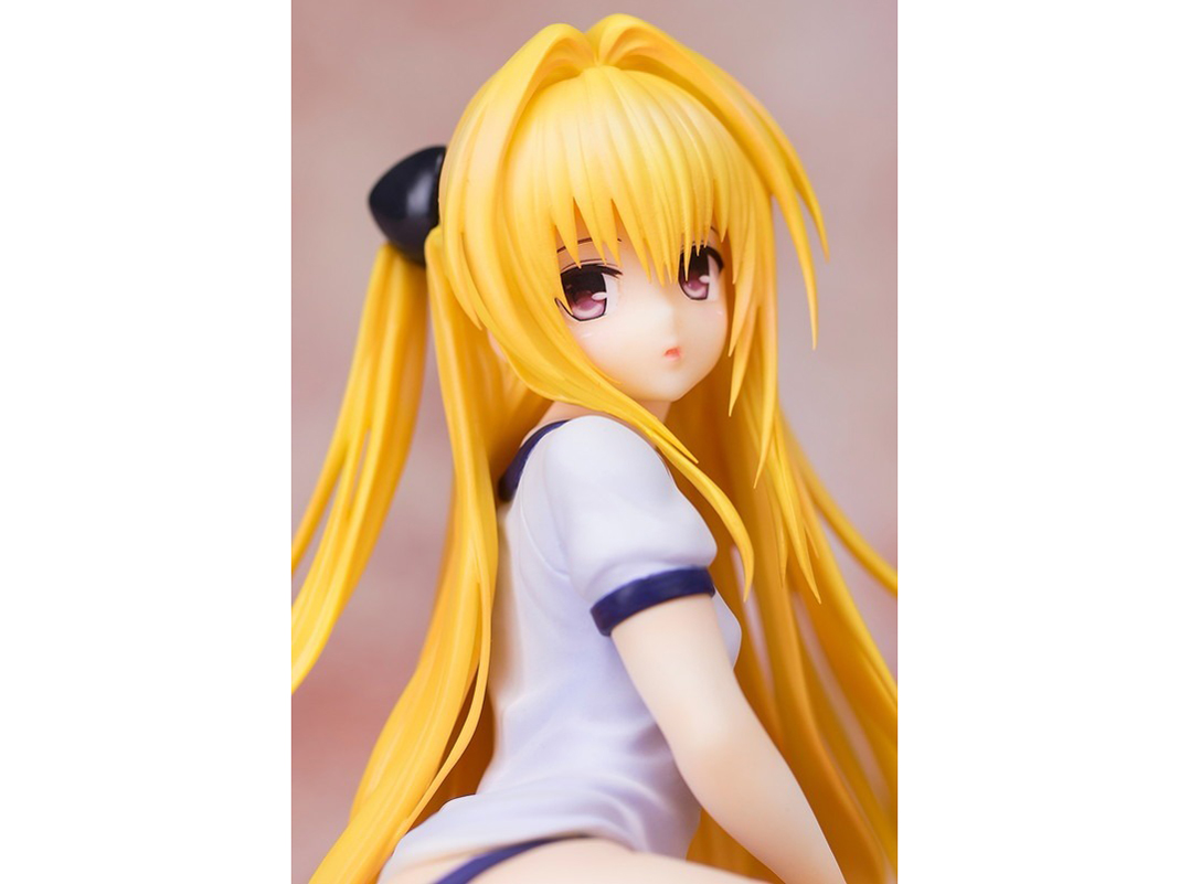 ToLOVE��-�Ƃ�Ԃ�-�_�[�N�l�X 1/6 ���F�̈�