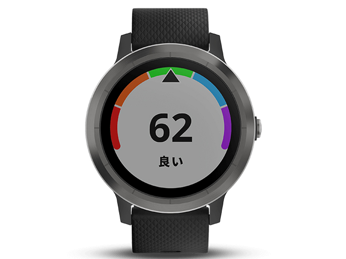 vivoactive 3 [Black Slate]