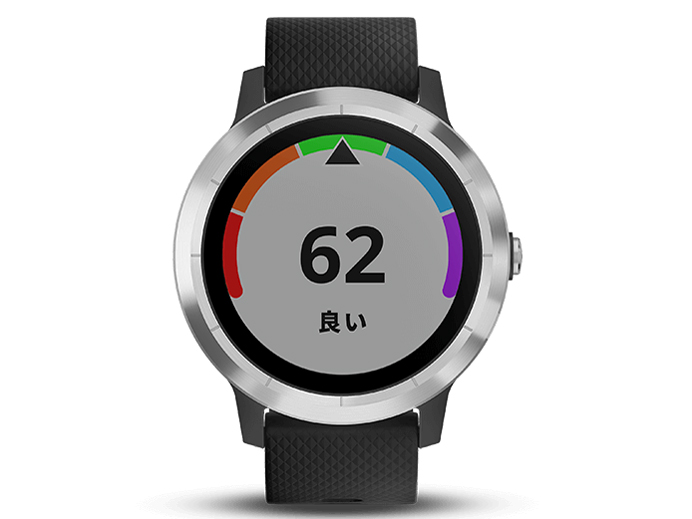 vivoactive 3 [Black Stainless]
