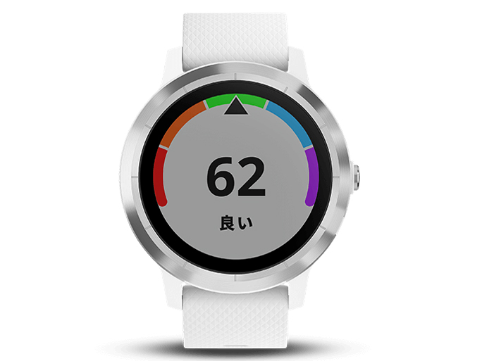 vivoactive 3 [White Stainless]