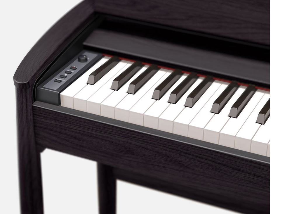 Kiyola KF-10-KSB [�V�A�[�u���b�N]