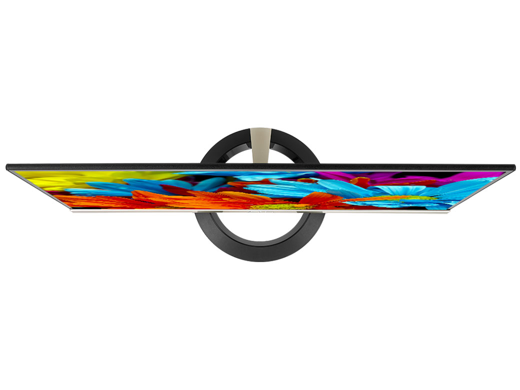 VZ239H [23�C���` Icicle Gold+Black]