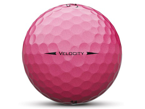 VELOCITY 2018�N���f�� [�s���N]