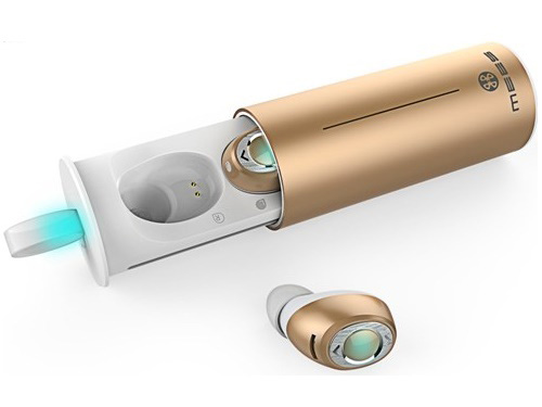 FIT1 [�S�[���h] �̐��i�摜