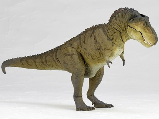 �\�t�r�g�C�{�b�N�X018B �e�B���m�T�E���X �X���[�N�O���[��