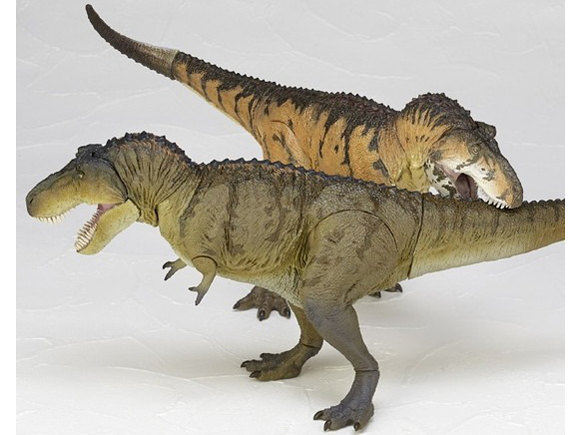 �\�t�r�g�C�{�b�N�X018B �e�B���m�T�E���X �X���[�N�O���[��