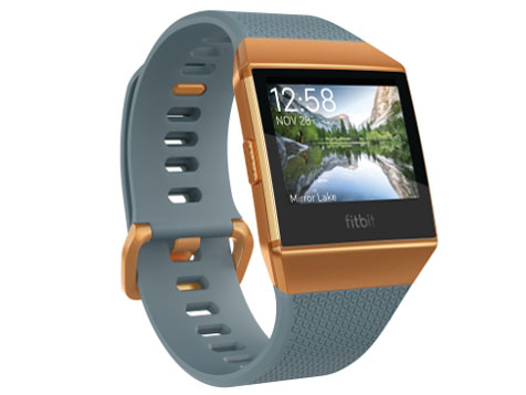 Fitbit Ionic スマートウォッチ　FB503WTGY-CJK Fitbit Fitbit Ionic FB503WTGY-CJK 価格比較 - 価格.com