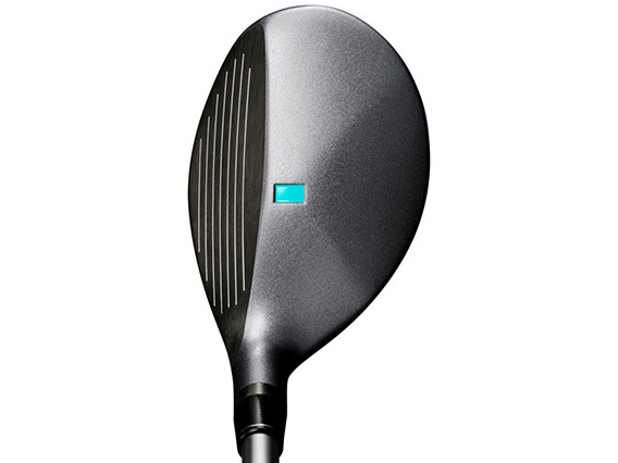 Q ���[�e�B���e�B�[ [LIGHT ���t�g�F33]