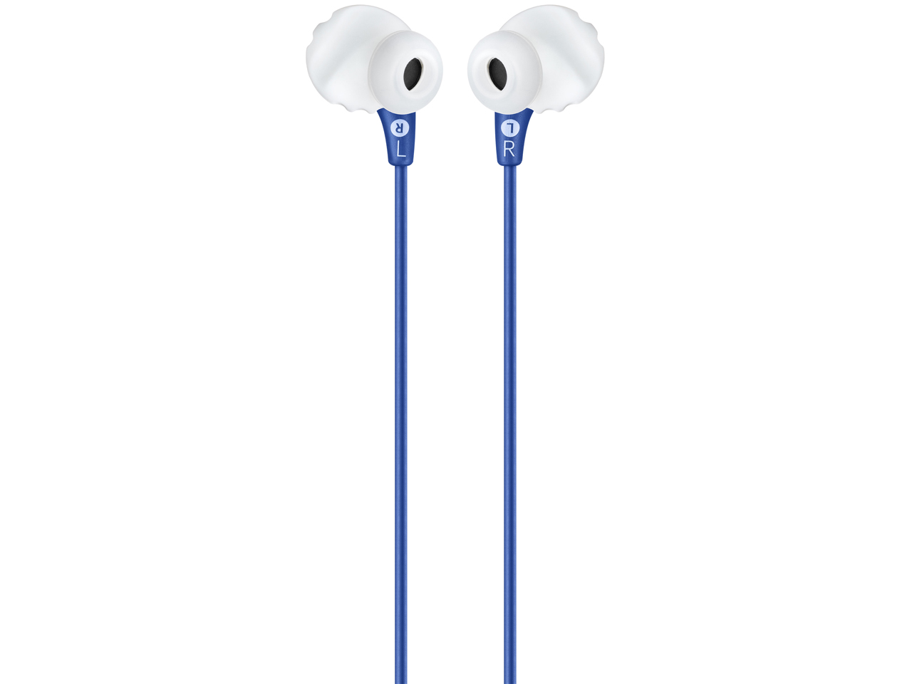 ENDURANCE RUN [�u���[]