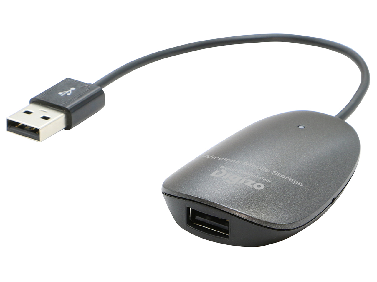 Digizo ShAirDisk PTW-SDISKL1 �̐��i�摜