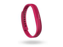 Fitbit Flex 2 FB403MG-JPN [�}�[���^] �̐��i�摜