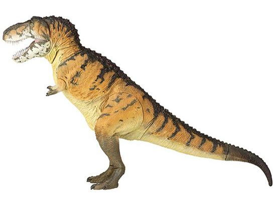 �\�t�r�g�C�{�b�N�X018A �e�B���m�T�E���X