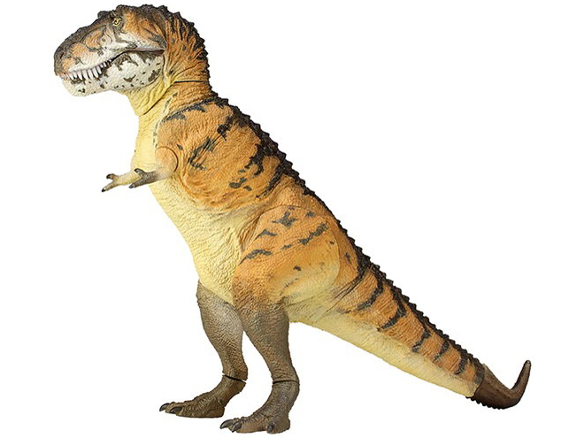 �\�t�r�g�C�{�b�N�X018A �e�B���m�T�E���X