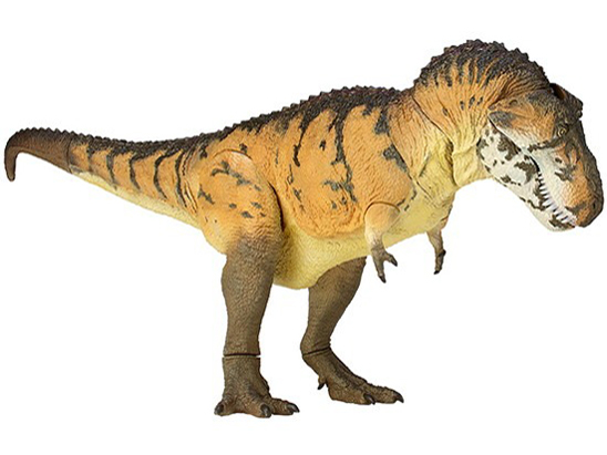 �\�t�r�g�C�{�b�N�X018A �e�B���m�T�E���X