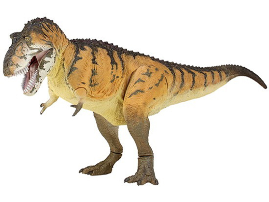 �\�t�r�g�C�{�b�N�X018A �e�B���m�T�E���X �̐��i�摜