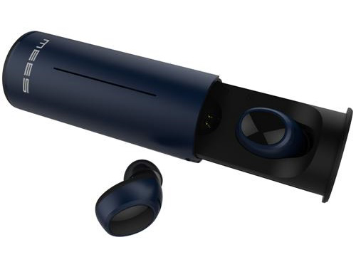 FIT1C [�l�C�r�[] �̐��i�摜