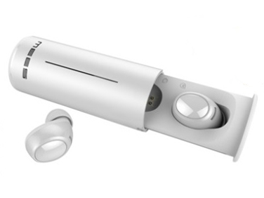 FIT1C [�z���C�g] �̐��i�摜