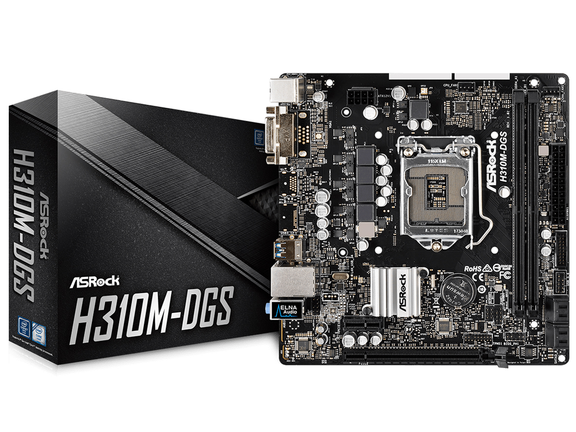 H310M-DGS