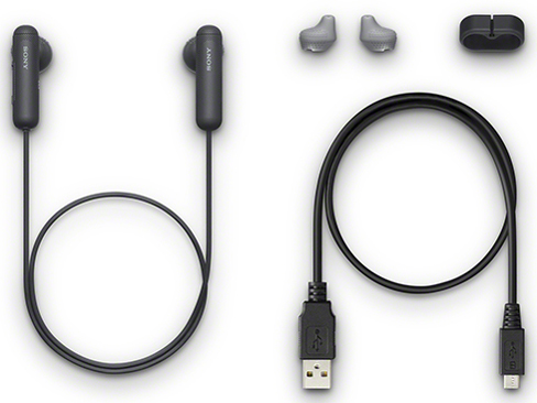 WI-SP500 (B) [�u���b�N]