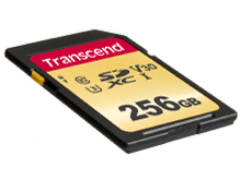 TS256GSDC500S [256GB]