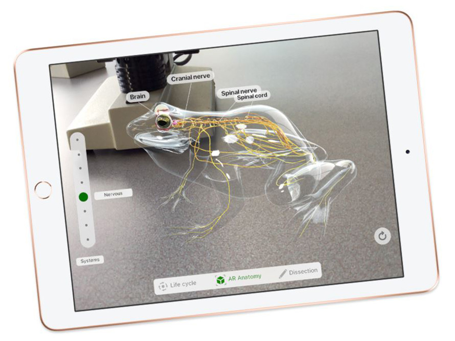 iPad 9.7�C���` Wi-Fi+Cellular���f�� 32GB MRM02J/A SIM�t���[ [�S�[���h]