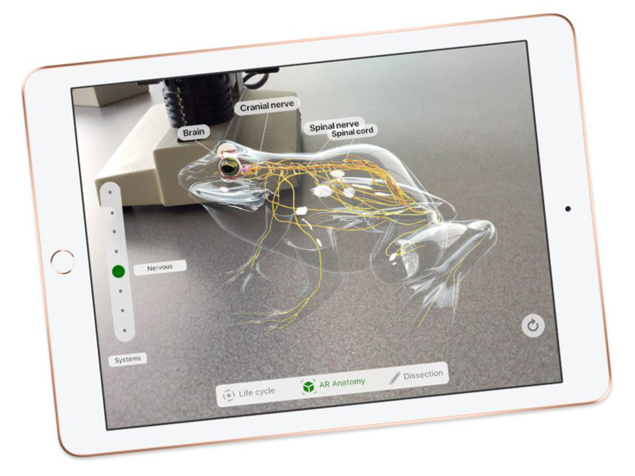 iPad 9.7�C���` Wi-Fi+Cellular���f�� 128GB MRM22J/A SIM�t���[ [�S�[���h]