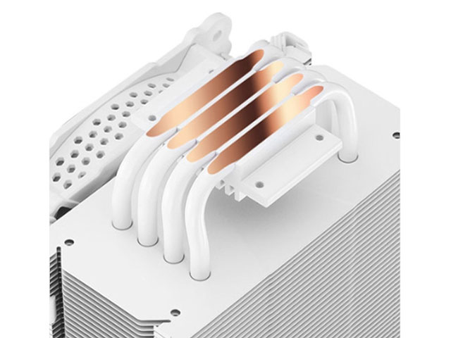 CR-201-RGB-WH [�z���C�g]